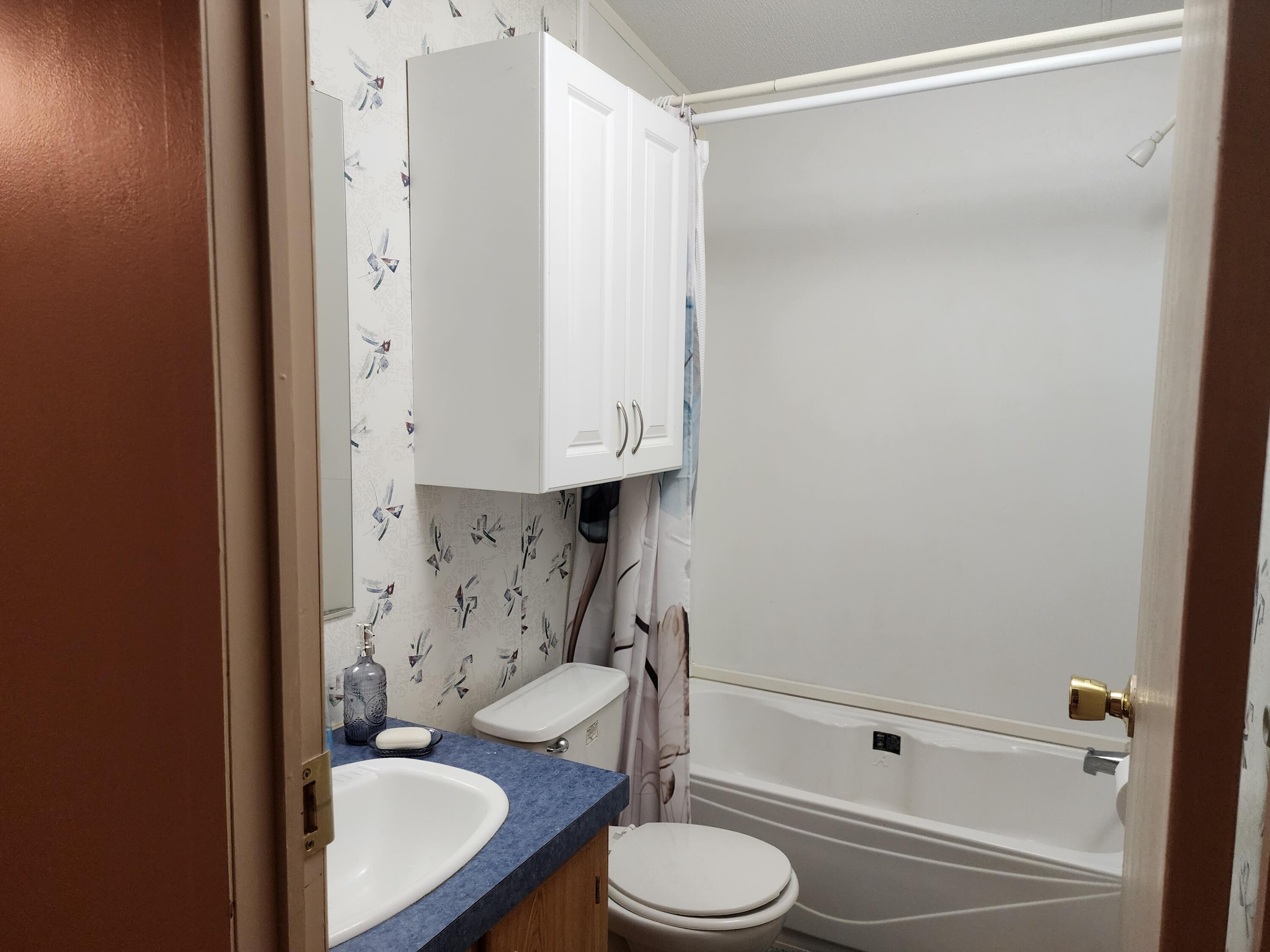 2256 Sidneys Road Walterboro, SC 29488 - Photo 10 of 21 Guest Bath - Copy