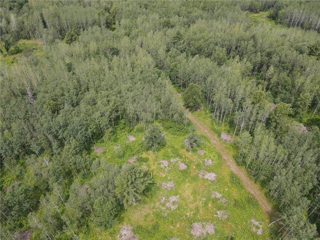 W37-xx Frog Creek Road Minong, WI 54859 - Photo 12 of 40 Forest on Property
