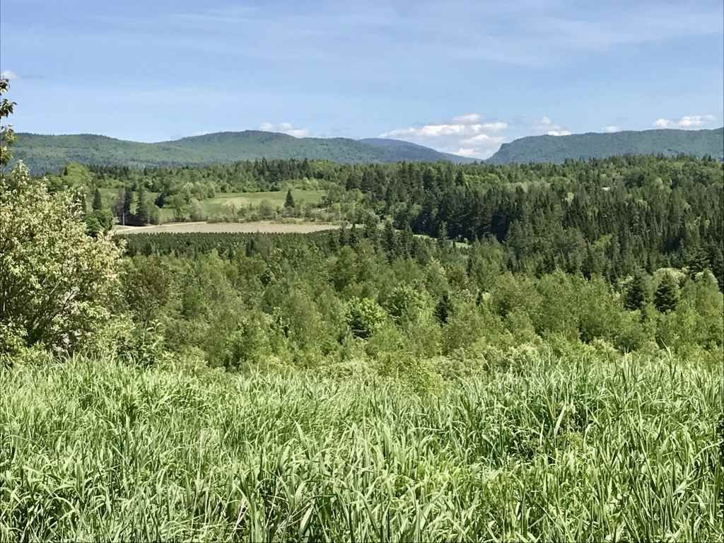 Lot 3 Bear Rock And Cree Road Colebrook, NH 03576 - Photo 1 of 11 Gallery Image 1