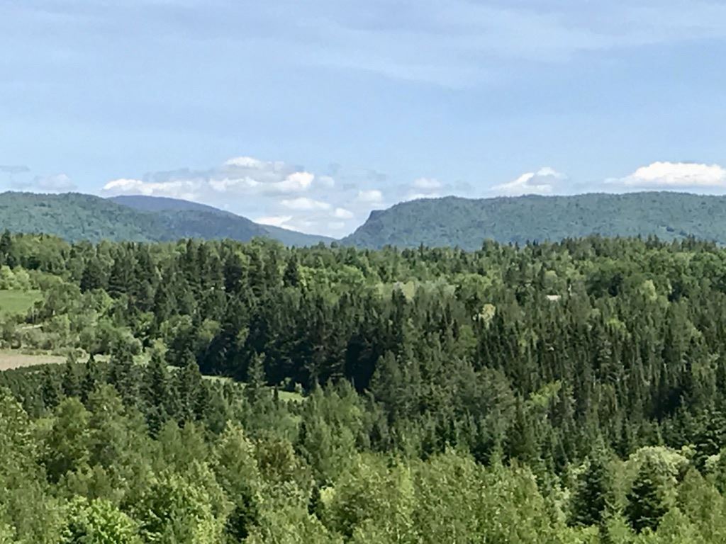 Lot 3 Bear Rock And Cree Road Colebrook, NH 03576 - Photo 4 of 11 Gallery Image 4