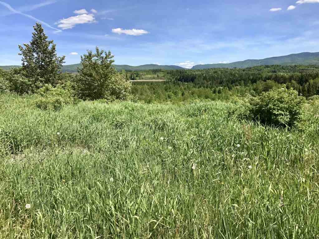 Lot 3 Bear Rock And Cree Road Colebrook, NH 03576 - Photo 5 of 11 Gallery Image 5