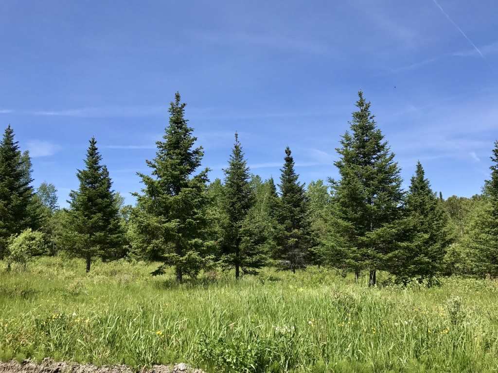 Lot 3 Bear Rock And Cree Road Colebrook, NH 03576 - Photo 7 of 11 Gallery Image 7