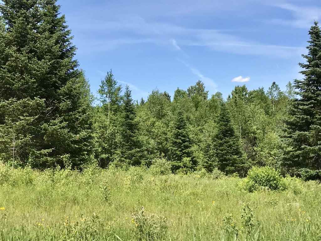 Lot 3 Bear Rock And Cree Road Colebrook, NH 03576 - Photo 8 of 11 Gallery Image 8