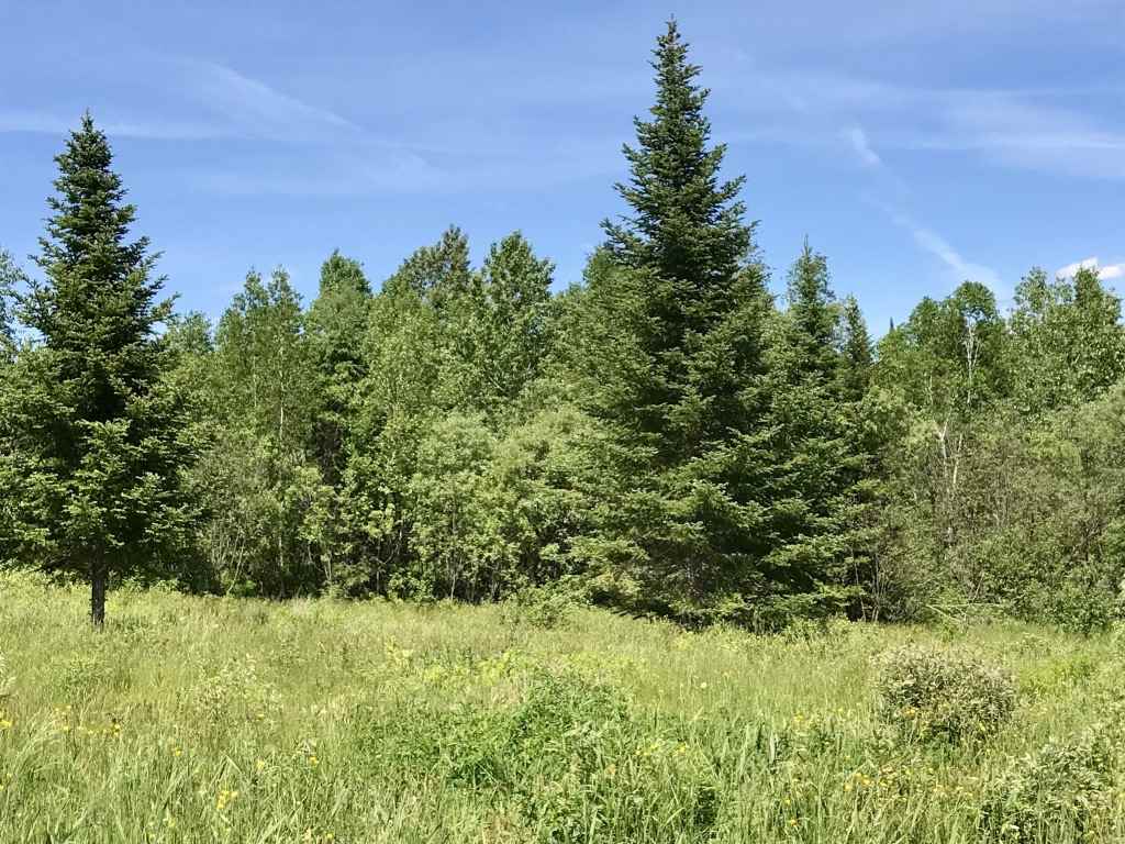 Lot 3 Bear Rock And Cree Road Colebrook, NH 03576 - Photo 9 of 11 Gallery Image 9