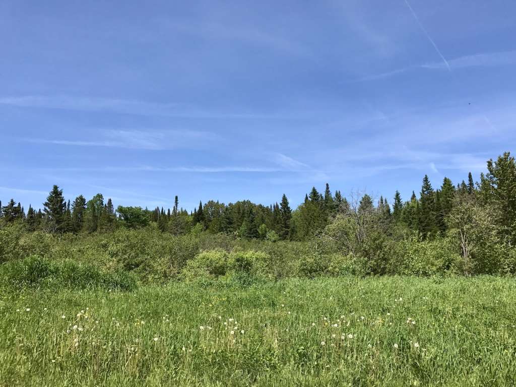 Lot 3 Bear Rock And Cree Road Colebrook, NH 03576 - Photo 10 of 11 Gallery Image 10