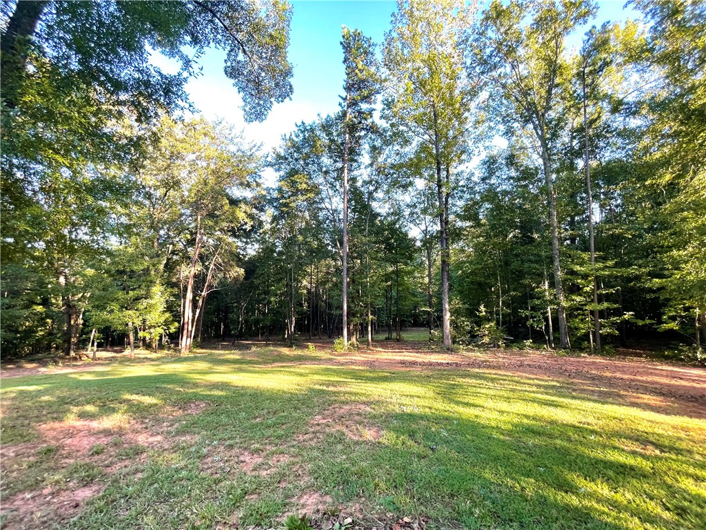 930 Golden Creek Road Liberty, SC 29657 - Photo 28 of 34 Gallery Image 28