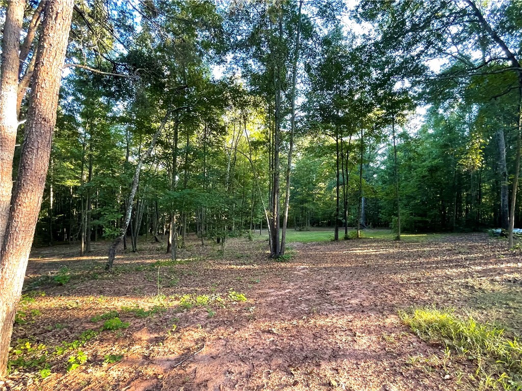930 Golden Creek Road Liberty, SC 29657 - Photo 30 of 34 Gallery Image 30