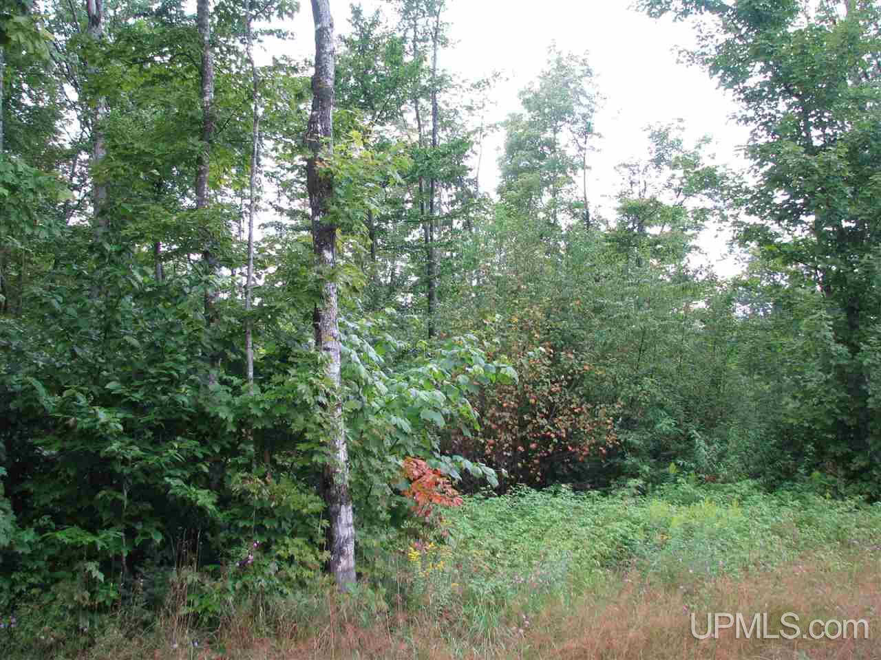 Tbd Cemetery Road Grand Marais, MI 49839 - Photo 5 of 10 Gallery Image 5