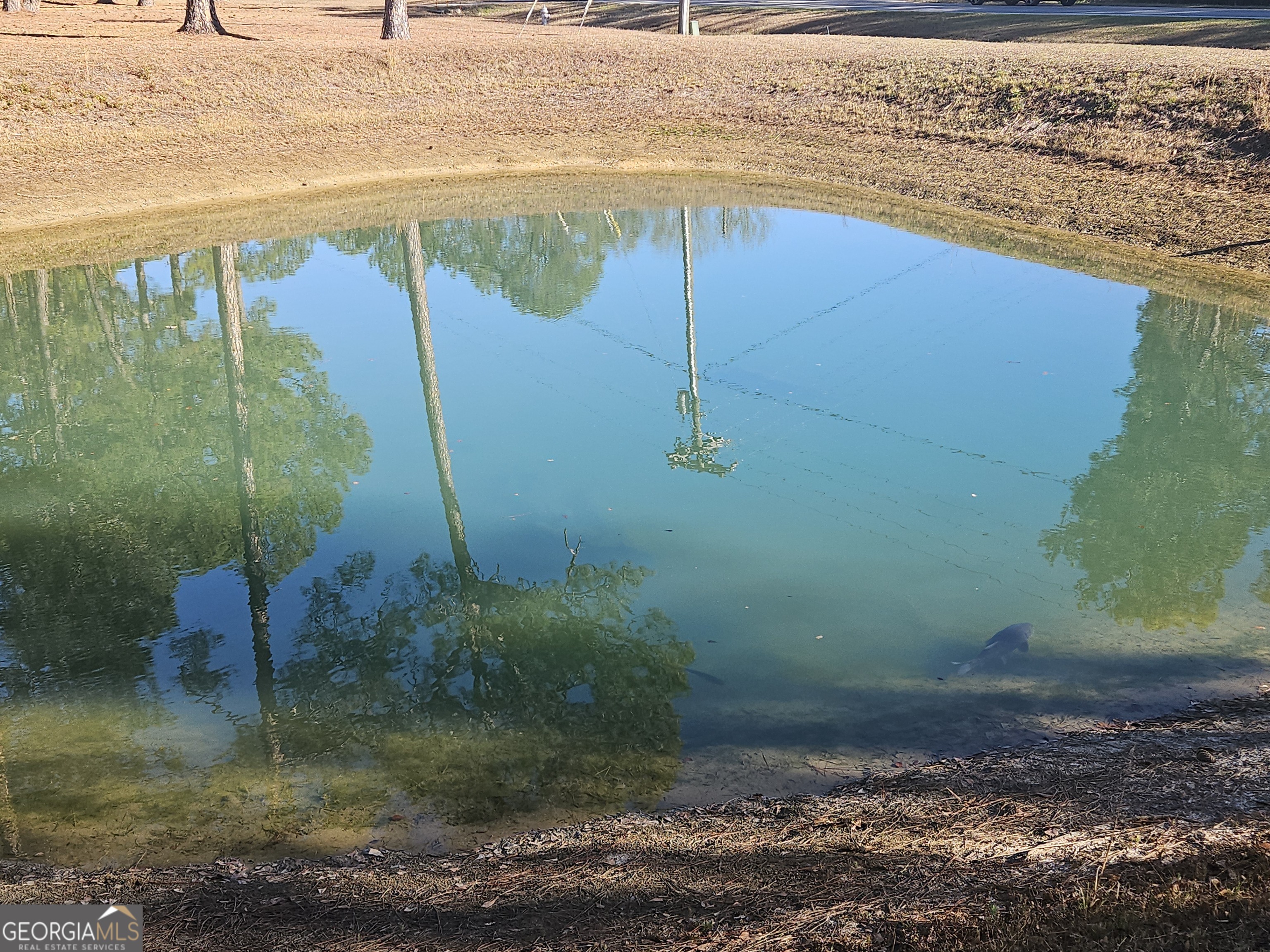 223 Mt Olive Church Road Tifton, GA 31794 - Photo 9 of 18