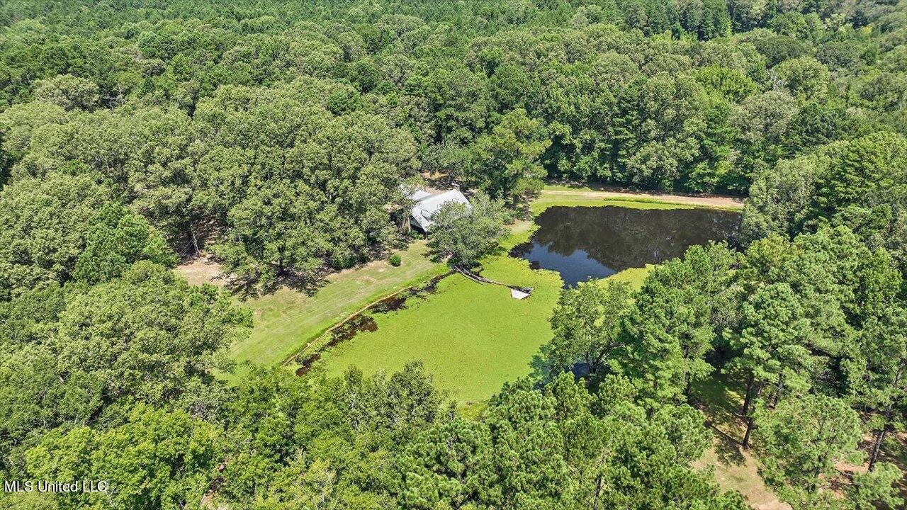 4894 Parsons Road Raymond, MS 39154 - Photo 53 of 70 63-4894 Parsons Rd