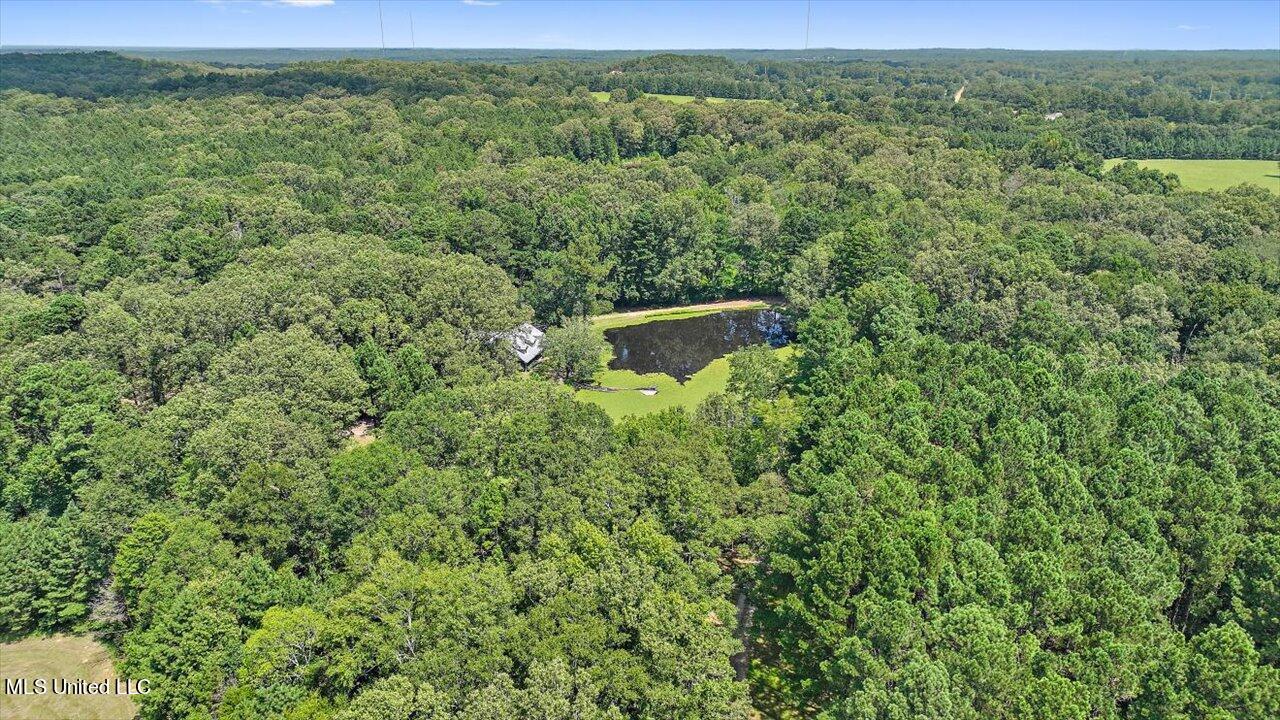 4894 Parsons Road Raymond, MS 39154 - Photo 54 of 70 62-4894 Parsons Rd