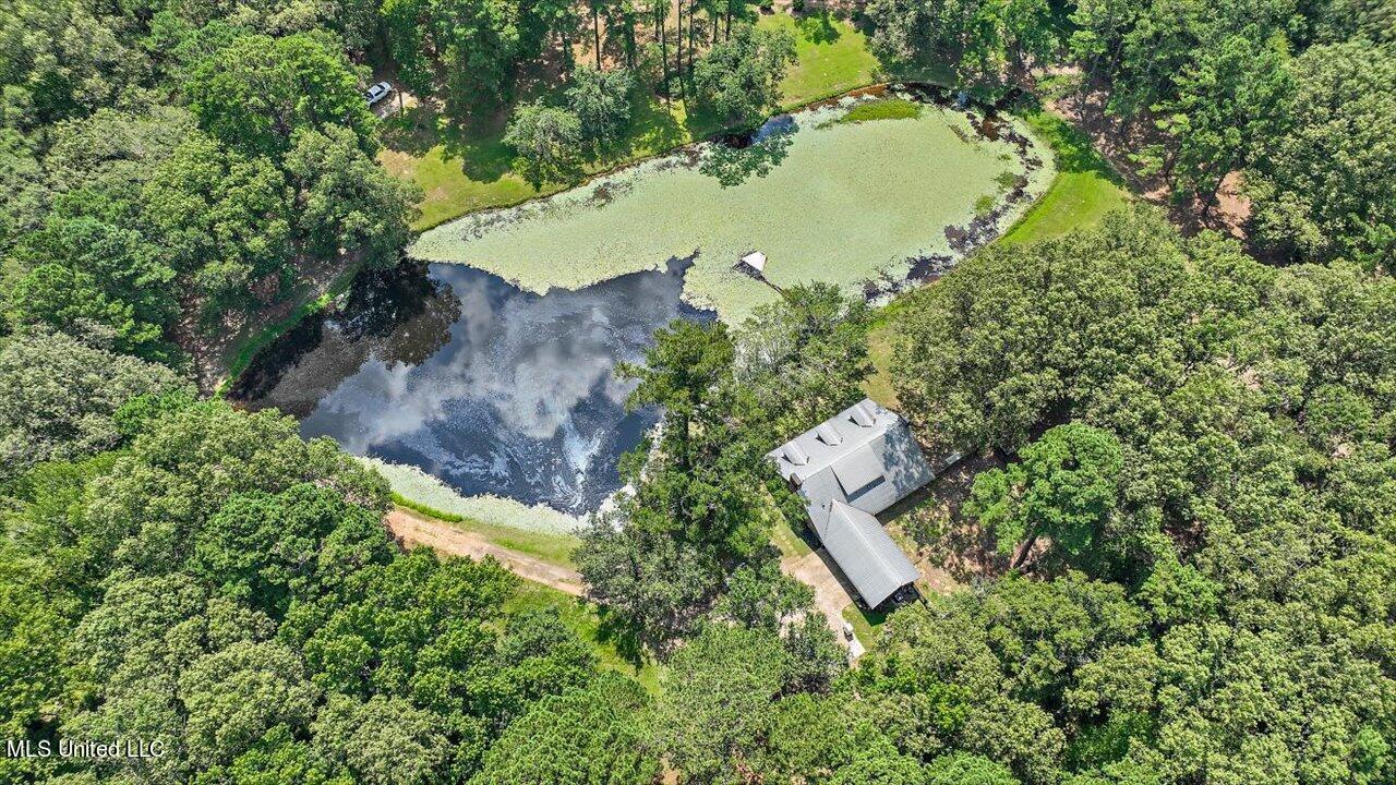 4894 Parsons Road Raymond, MS 39154 - Photo 62 of 70 54-4894 Parsons Rd