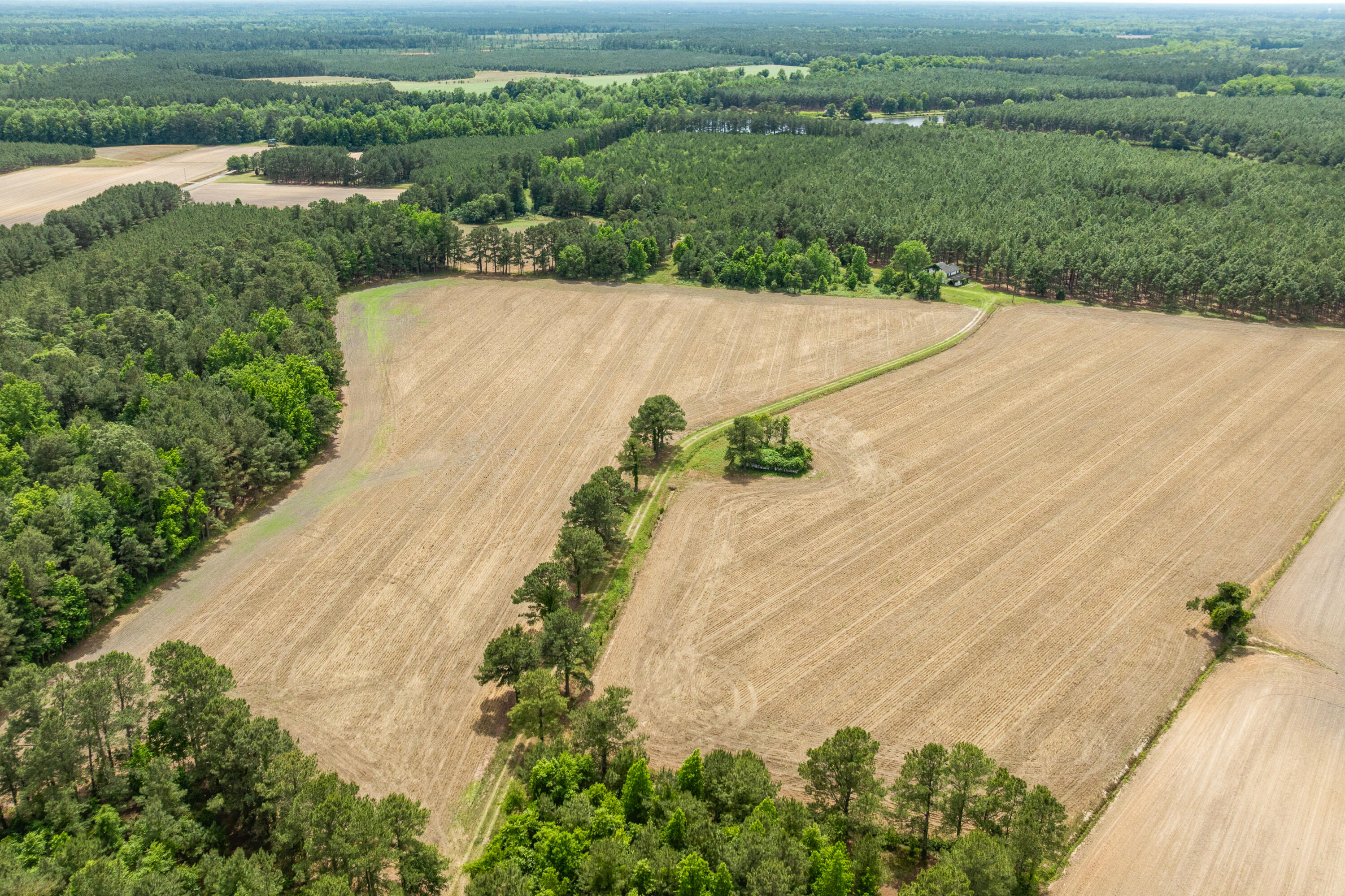 741 Jones Road Lake City, SC 29560 - Photo 49 of 107 Jones Drive-93