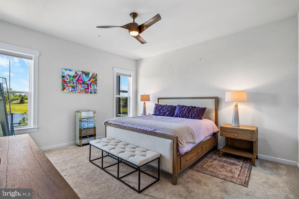 2806 Water Strider Way Odenton, MD 21113 - Photo 21 of 63 Primary bedroom