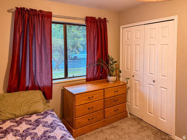1539 East 450 South Springville, UT 84663 - Photo 23 of 41