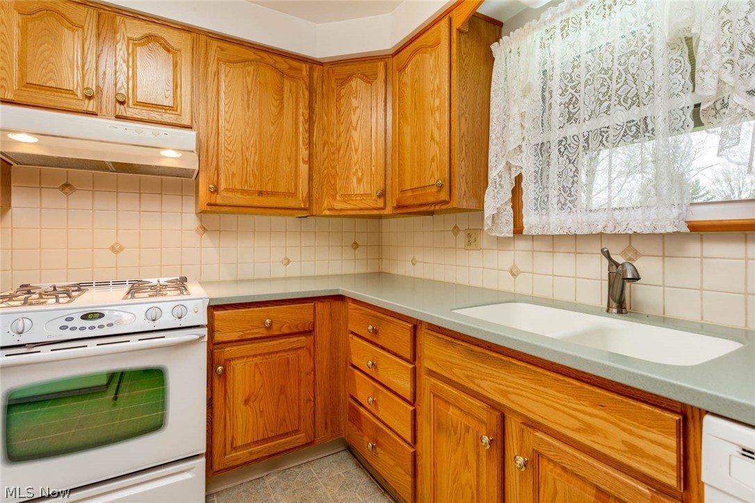 6356 Murray Ridge Road Elyria, OH 44035 - Photo 7 of 27 Updated Kitchen