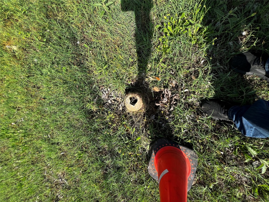 506 West 2nd Street Elgin, TX 78621 - Photo 3 of 7