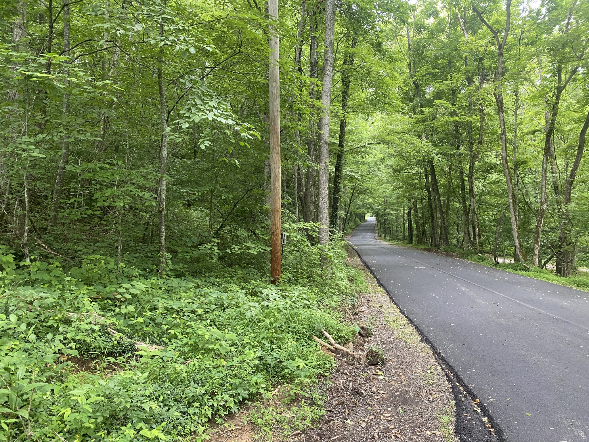 0 Plunders Creek Road Dickson, TN 37055 - Photo 2 of 4