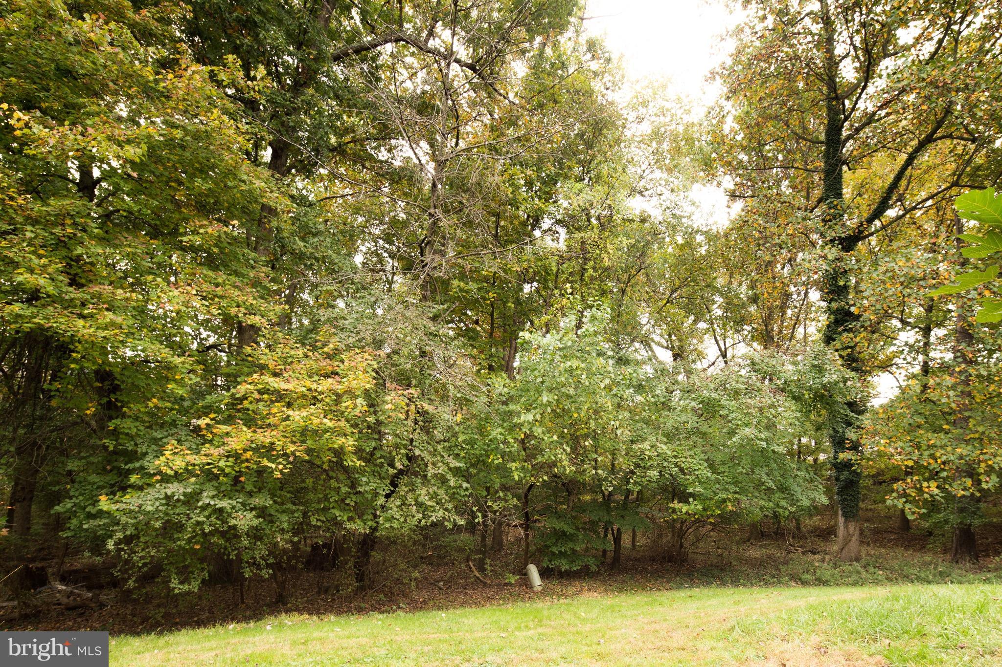 15005 Shamrock Ridge Road Silver Spring, MD 20906 - Photo 11 of 25 View from rear of home