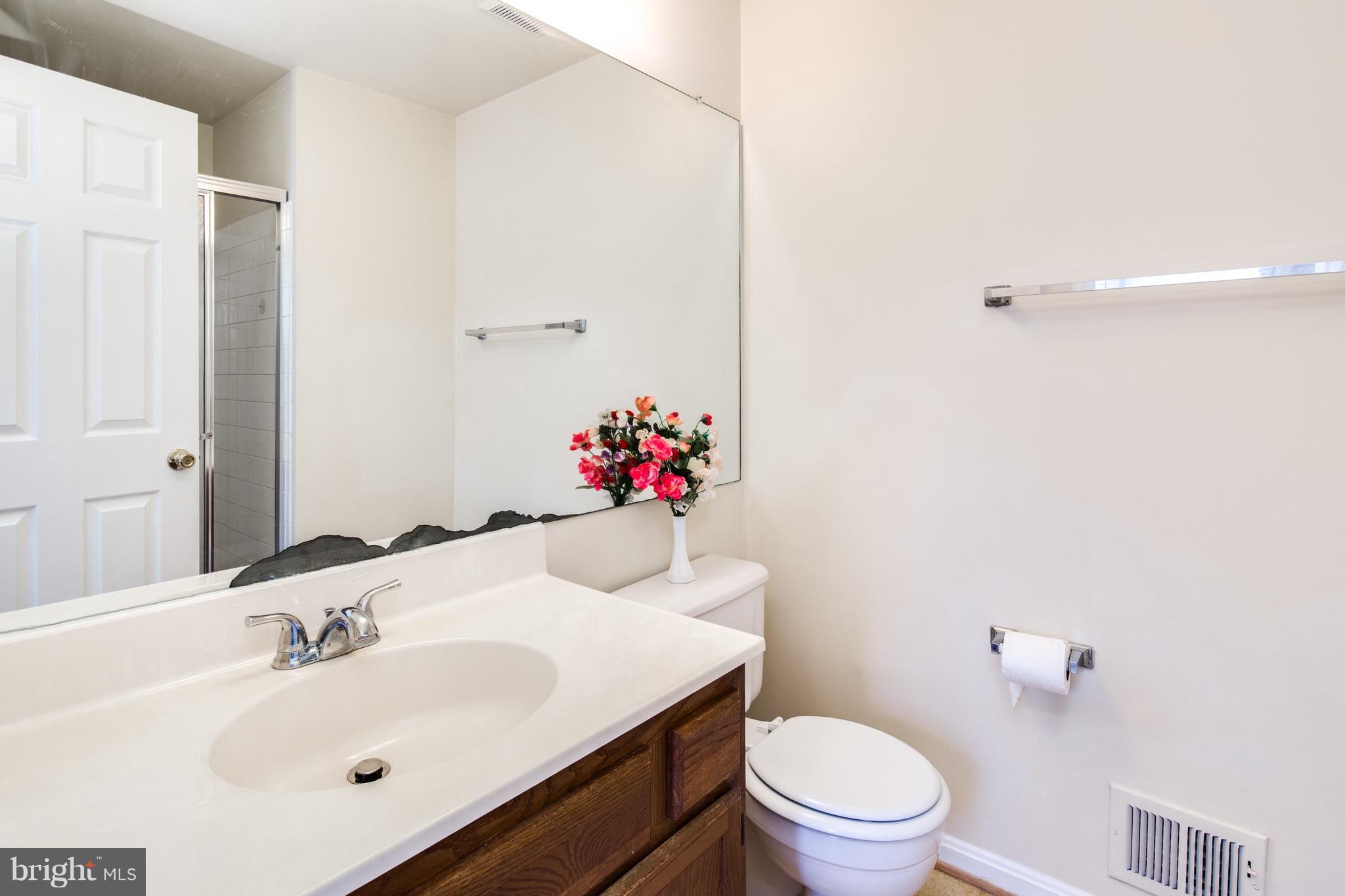 15005 Shamrock Ridge Road Silver Spring, MD 20906 - Photo 10 of 25 Bath (Master)