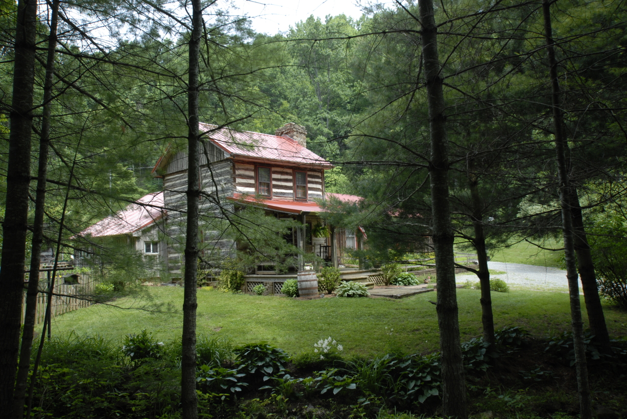 2240 Webb Mountain Road Boones Mill, VA 24065 - Photo 2 of 52 Green all around