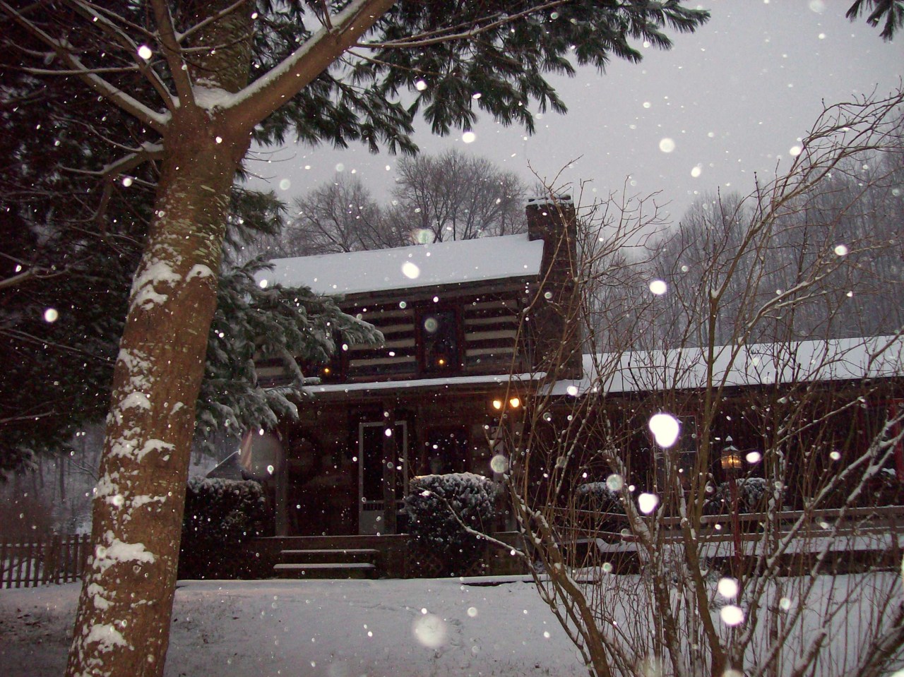 2240 Webb Mountain Road Boones Mill, VA 24065 - Photo 12 of 52 Let it Snow