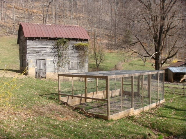 2240 Webb Mountain Road Boones Mill, VA 24065 - Photo 14 of 52 blueberry garden and barn