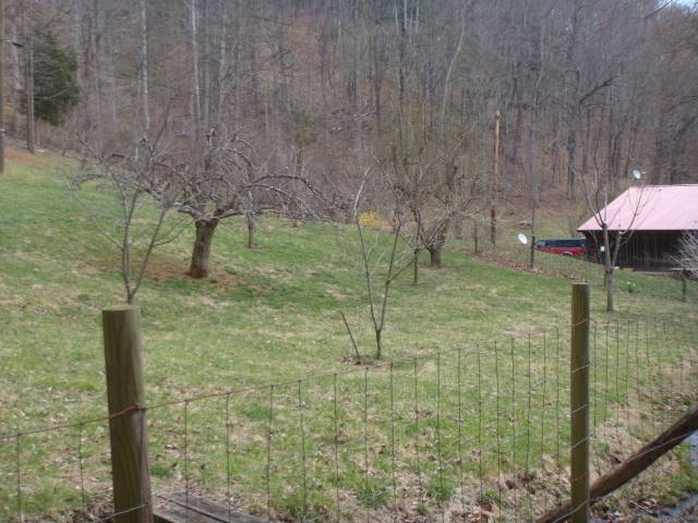 2240 Webb Mountain Road Boones Mill, VA 24065 - Photo 31 of 52 fruit trees
