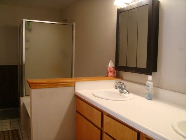 2240 Webb Mountain Road Boones Mill, VA 24065 - Photo 41 of 52 master bathroom