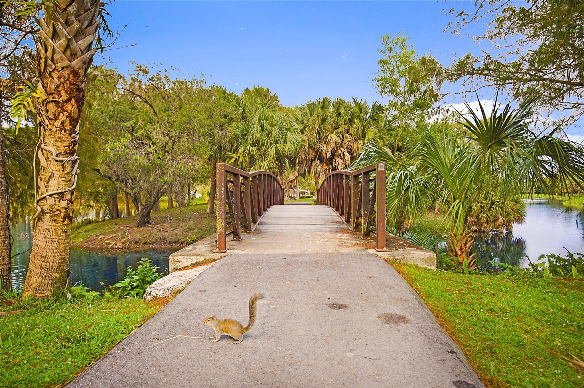 6377 Boca Circle, Unit 6377 Boca Raton, FL 33433 - Photo 36 of 43 a view of a yard with palm trees