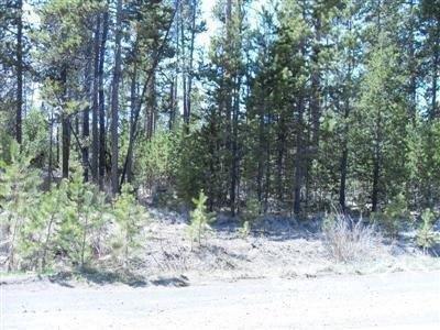 51245 Parker Road La Pine, OR 97739 - Photo 1 of 3 Primary Photo