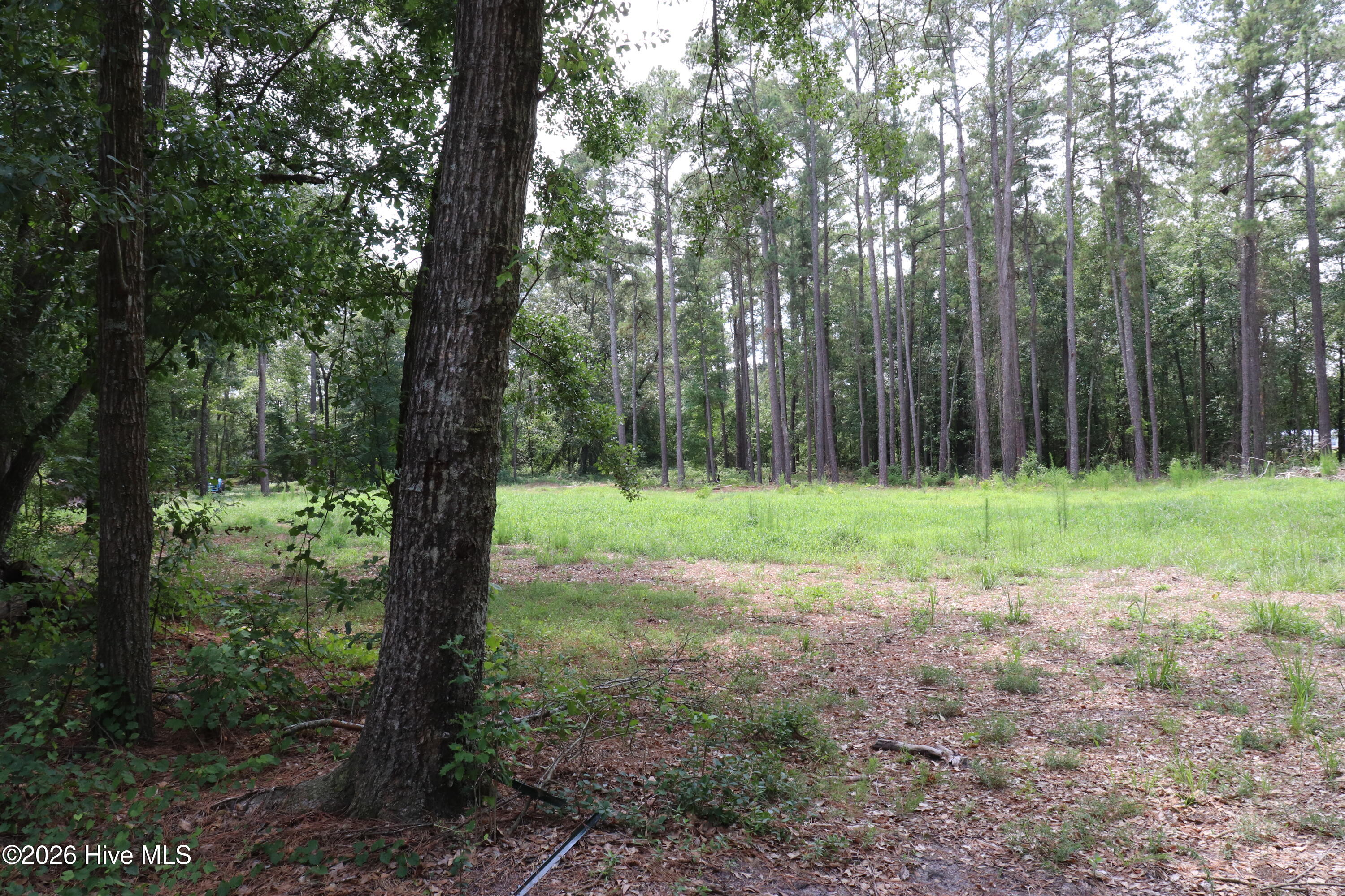 Tbd Hayne Stretch Road Roseboro, NC 28382 - Photo 10 of 31