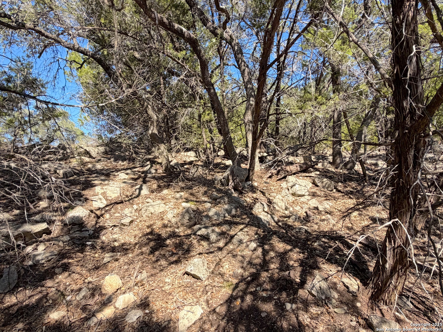 1031 Parton Road Canyon Lake, TX 78133 - Photo 14 of 25 a view of a tree