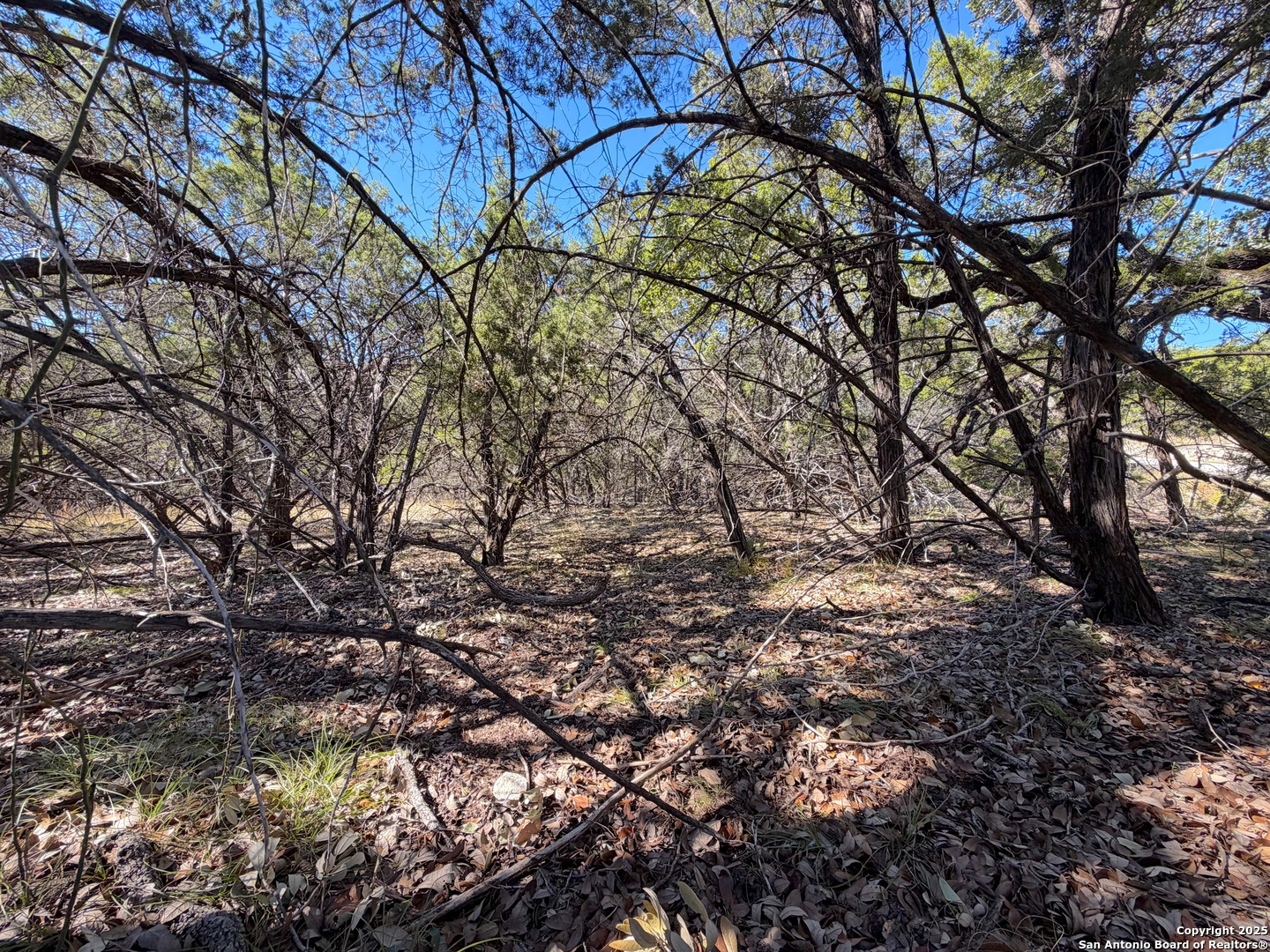 1031 Parton Road Canyon Lake, TX 78133 - Photo 16 of 25 a backyard of a house with lots of green space