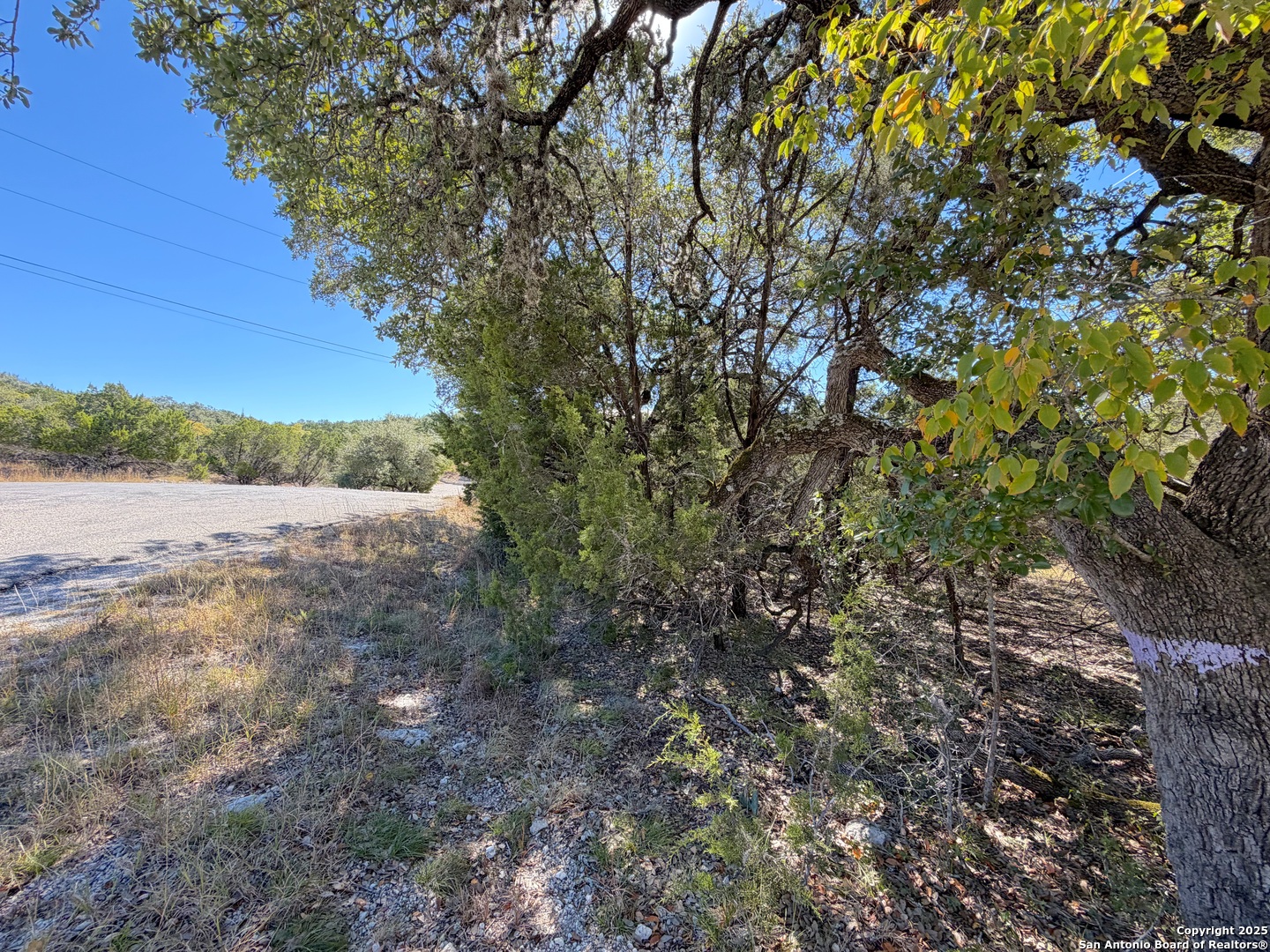 1031 Parton Road Canyon Lake, TX 78133 - Photo 18 of 25 a view of a road with a yard