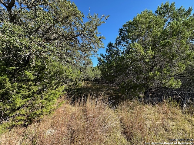 1031 Parton Road Canyon Lake, TX 78133 - Photo 19 of 25 a view of a yard