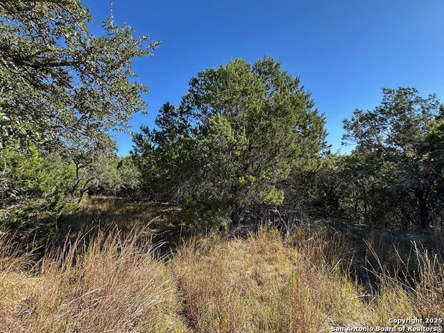 1031 Parton Road Canyon Lake, TX 78133 - Photo 20 of 25