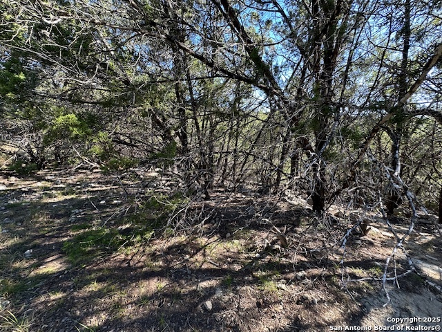 1031 Parton Road Canyon Lake, TX 78133 - Photo 22 of 25