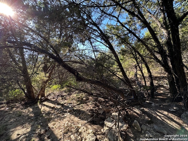 1031 Parton Road Canyon Lake, TX 78133 - Photo 23 of 25