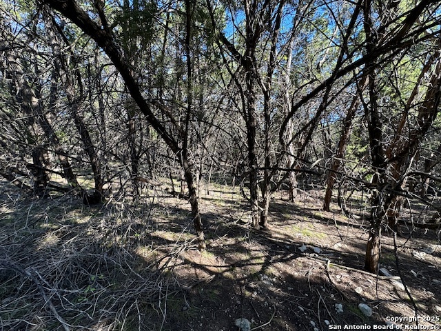 1031 Parton Road Canyon Lake, TX 78133 - Photo 25 of 25 a view of a large tree