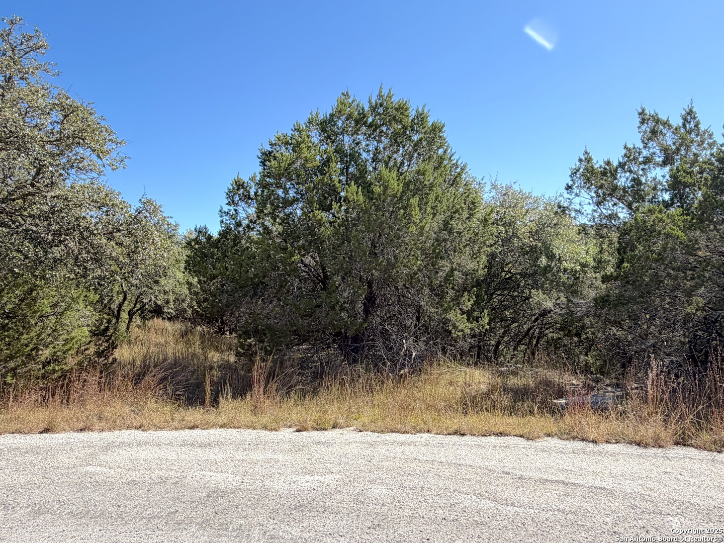 1031 Parton Road Canyon Lake, TX 78133 - Photo 6 of 25 a view of a yard and mountain view