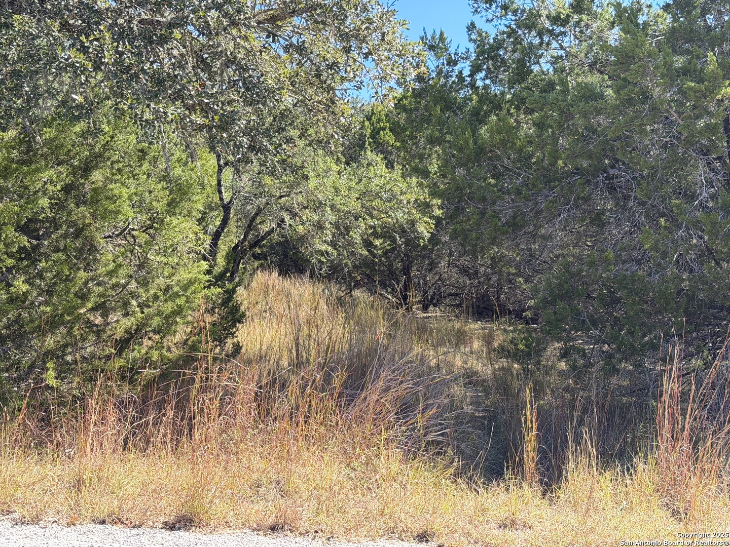 1031 Parton Road Canyon Lake, TX 78133 - Photo 8 of 25 a view of a yard
