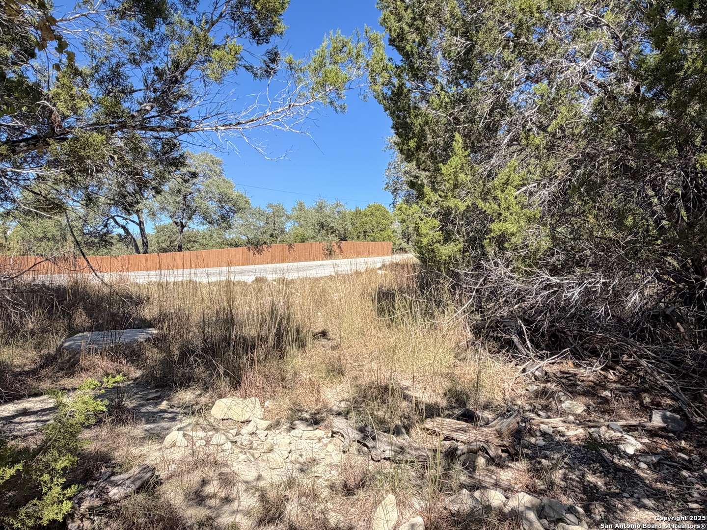 1031 Parton Road Canyon Lake, TX 78133 - Photo 10 of 25 a view of a yard with a tree