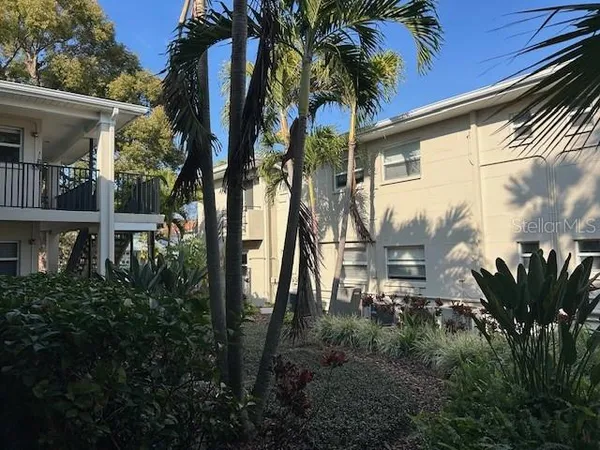 a flower plants in front of a house