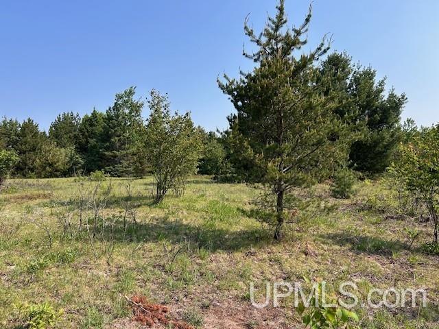13408 West Jackola ( Road Atlantic Mine, MI 49905 - Photo 14 of 21