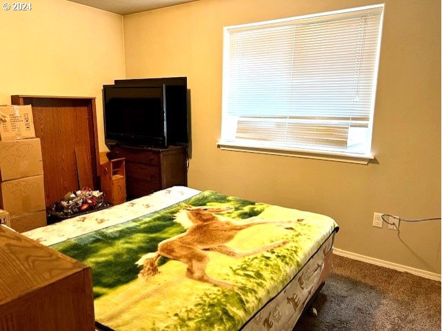 1090 West Ridgeway Avenue Hermiston, OR 97838 - Photo 12 of 22 Owner's Suite Bathroom