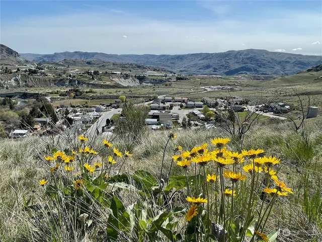 $350,000 | -nna East Iowa Street, Chelan, WA 98816