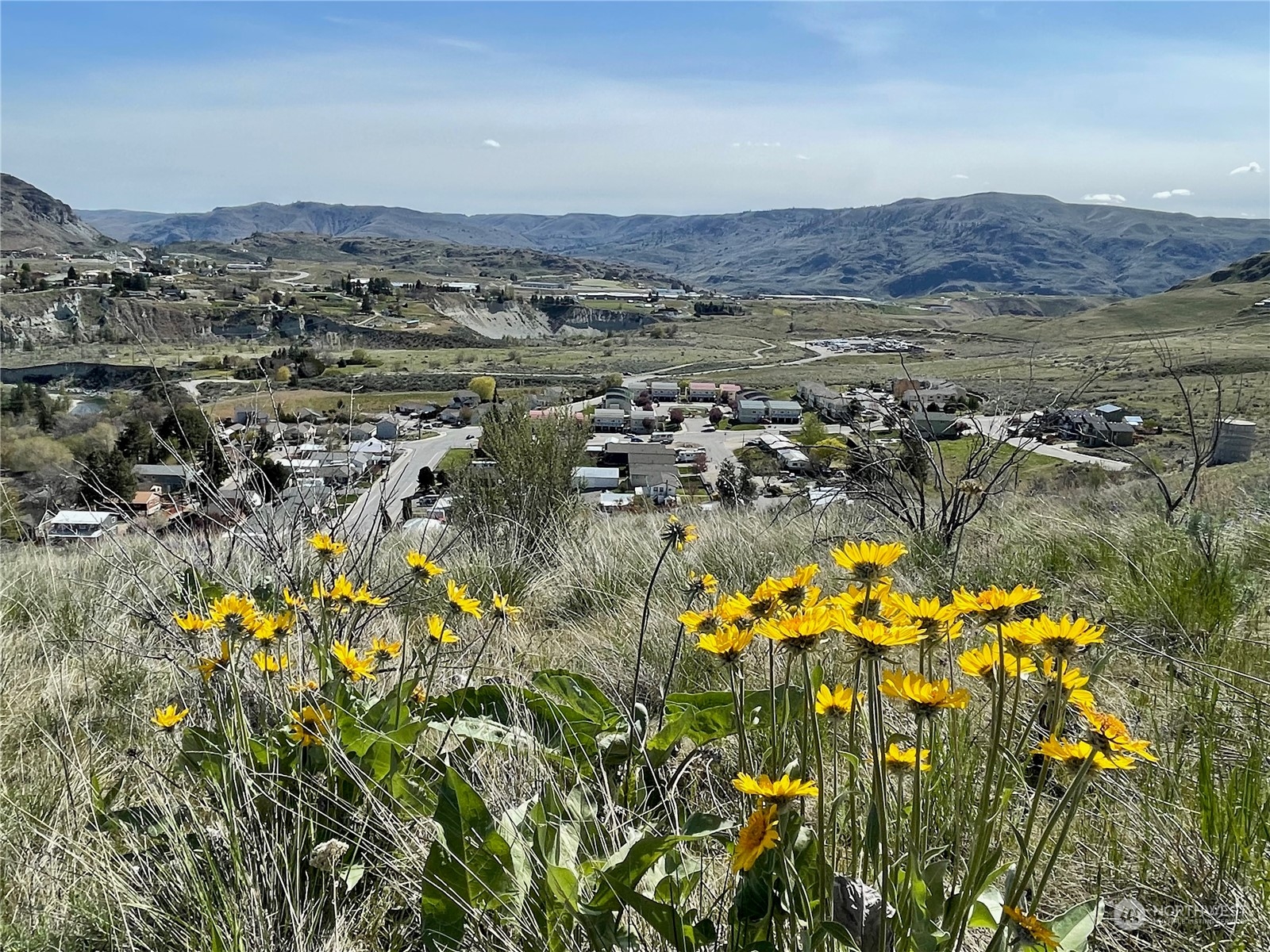 -nna East Iowa Street Chelan, WA 98816 - Photo 16 of 18