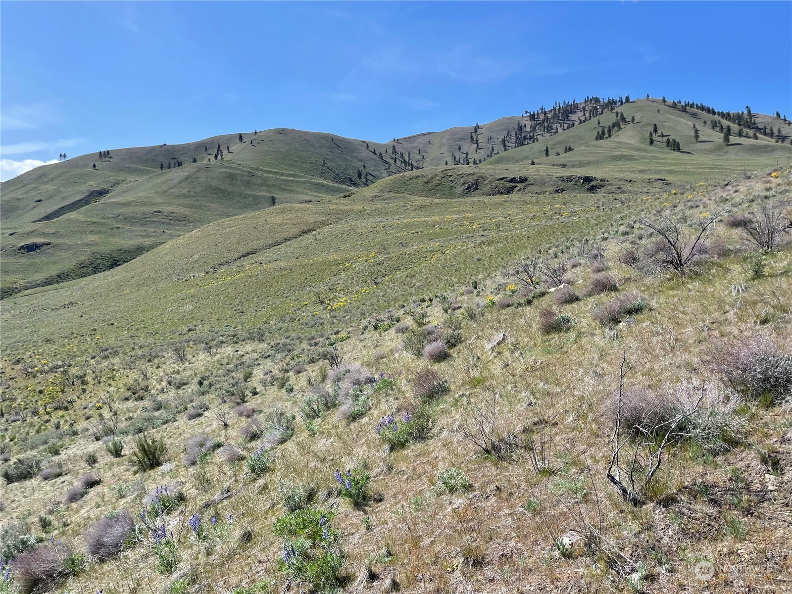 -nna East Iowa Street Chelan, WA 98816 - Photo 18 of 18