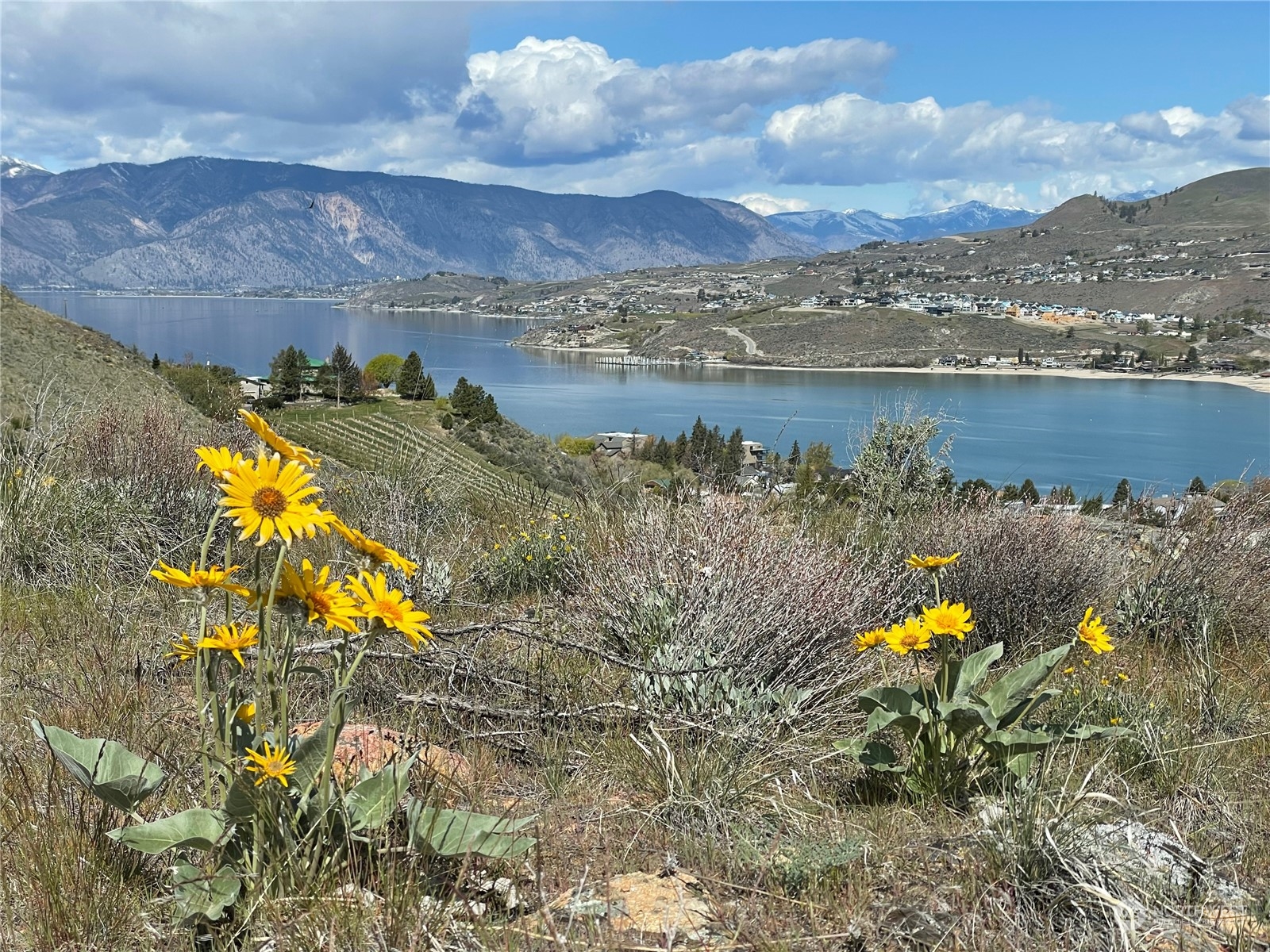 -nna East Iowa Street Chelan, WA 98816 - Photo 2 of 18